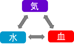 気血水の流れが決めて